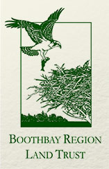 Boothbay Region Land Trust logo