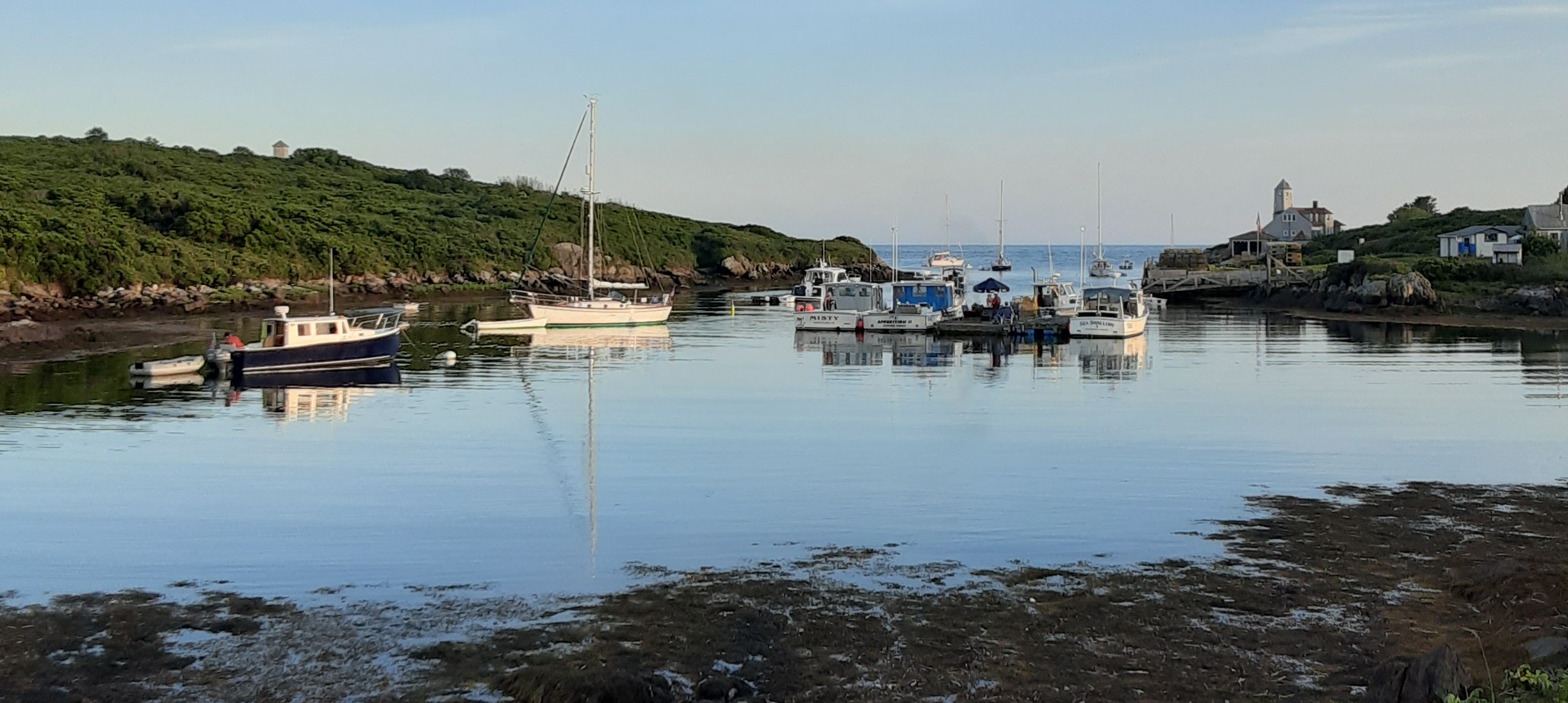 Finding Connections on Damariscove Island