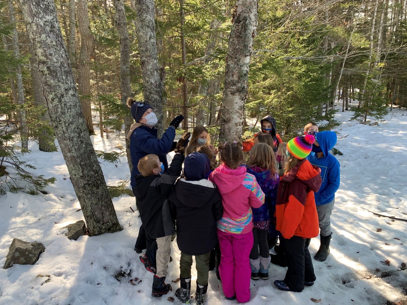 Children and Trees