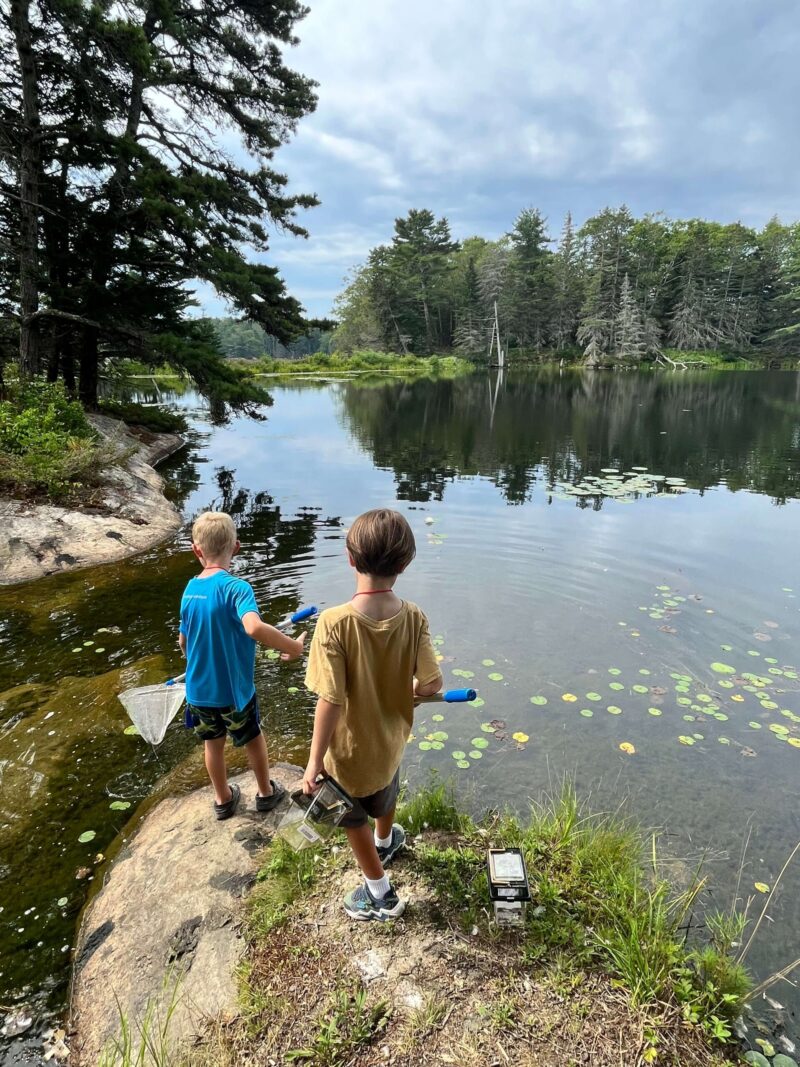 Campers learn about natural habitats while exploring BRLT Preserves