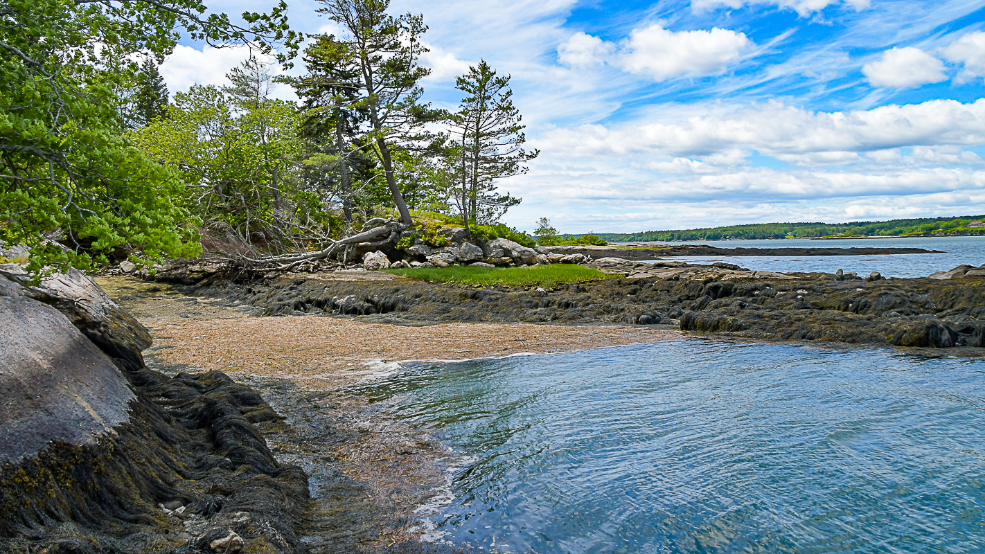 2025 Summer Newsletter